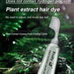 🔥Fruit Essence Hair Dyeing Comb