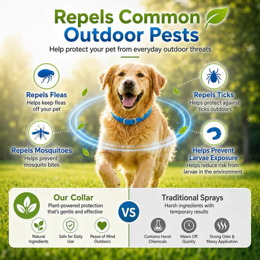⏳Limited-time 50% off⏰Natural Essential Oil Pet Pest Repellent Collar🐶🛡️