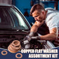 🎉 2026 Sale — Over 13,000 Sold!🔩 100/200 Pcs Copper Flat Washer Assortment Kit‑Seal Gaskets with Storage Case 📀
