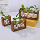 🌿 Rustic Wooden Stand Hydroponic Vases – Soil-Free Plant Growing | Farmhouse Style Décor for Home, Office & Kitchen