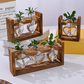 🌿 Rustic Wooden Stand Hydroponic Vases – Soil-Free Plant Growing | Farmhouse Style Décor for Home, Office & Kitchen