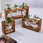 🌿 Rustic Wooden Stand Hydroponic Vases – Soil-Free Plant Growing | Farmhouse Style Décor for Home, Office & Kitchen