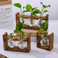 🌿 Rustic Wooden Stand Hydroponic Vases – Soil-Free Plant Growing | Farmhouse Style Décor for Home, Office & Kitchen