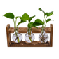 🌿 Rustic Wooden Stand Hydroponic Vases – Soil-Free Plant Growing | Farmhouse Style Décor for Home, Office & Kitchen