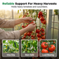 🌱 LIMITED-TIME 50% OFF! ✨ Plant Support Clips (100 PCS) – Quick-Lock, Ventilated, Durable 🪴