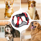 🐶 50% OFF NOW! 🛡️ No Pull Dog Harness with Leash & LED Collar – Secure & Comfortable ✨