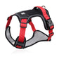🐶 50% OFF NOW! 🛡️ No Pull Dog Harness with Leash & LED Collar – Secure & Comfortable ✨