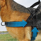 📢📢50% OFF !! ⏰ Heavy‑Duty Tactical Dog Harness – No‑pull, no‑choke. 🛡️✨