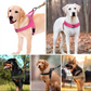📢📢50% OFF !! ⏰ Heavy‑Duty Tactical Dog Harness – No‑pull, no‑choke. 🛡️✨