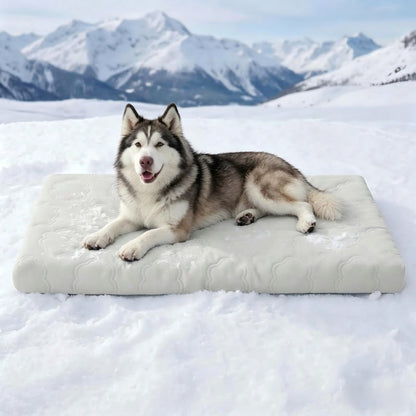 ⏳Time-Limited Special⏰Instant Cooling Pet Mat