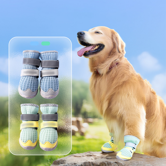 Breathable Mesh Dog Shoes