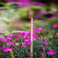 📢📢50% OFF !! ⏰One Thread - Electro Culture Copper Antenna