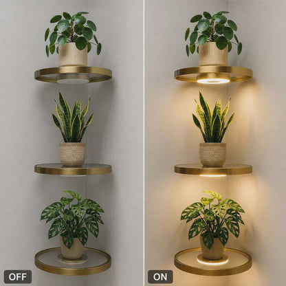 ⏳Limited-time 50% off⏰Floating Wall Shelf with Built-in Ambient LED Light🪴🛋️