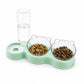 3-in-1 Pet Double Bowls with Automatic Water Dispenser