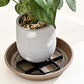 🌿🌹Root-Saving Pot Riser – Elevates Planters, Promotes Airflow, Keeps Floors Clean