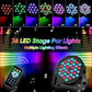 Sound Reactive PAR Light