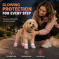 Stylish Breathable Dog Shoes with LED Lights