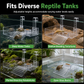 📢📢50% OFF !! ⏰Adjustable Hanging Acrylic Turtle Basking Platform for High Water Level Tanks